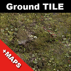 Mossy ground tileable