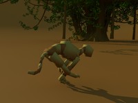 cat run