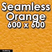 Food 009 - Orange