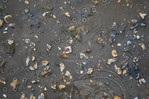 Mud_Texture_0003
