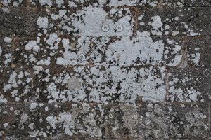Seawall_Texture_0011