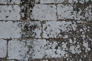 Seawall_Texture_0012
