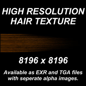 High Resolution Hair Texture - Light Brown