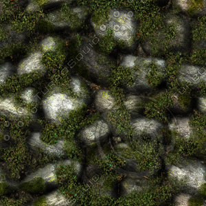 Garden wall