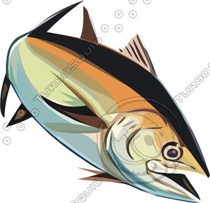 fish27