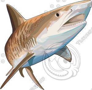 fish19