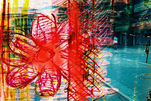 flower Az 00002