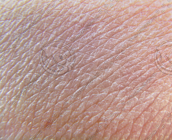 Texture JPEG skin texture human