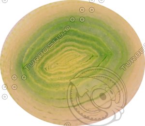 leek section textures shot set