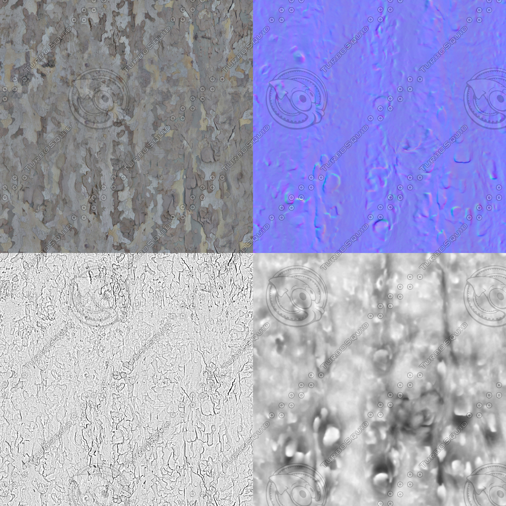 Texture PNG plane tree bark