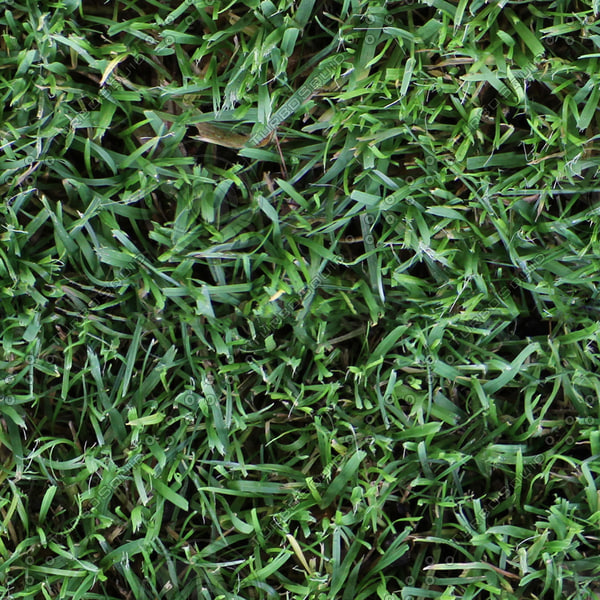 Texture TIFF grass patch