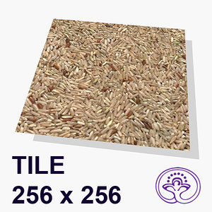 Rice tile1