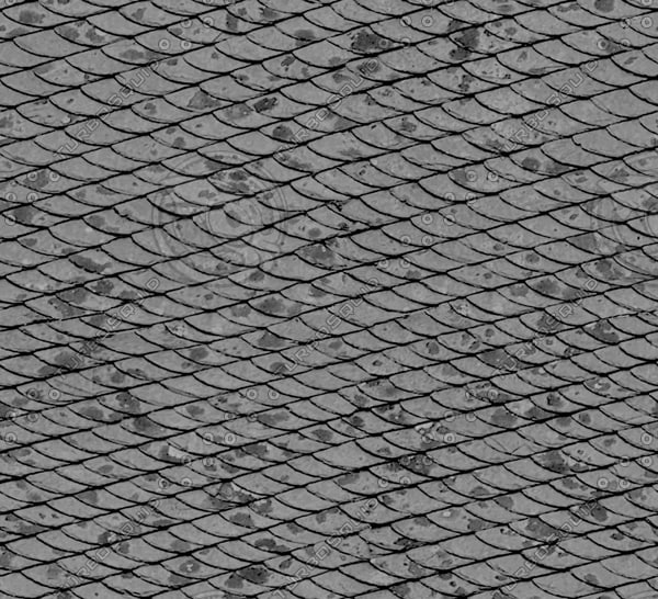 Texture JPEG slate roof seamless