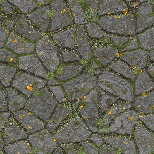 Flagstones