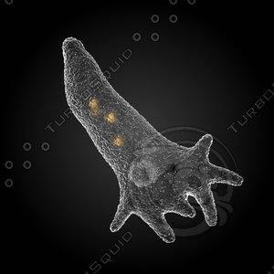 Still renders of microbial beings