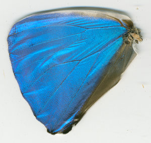 lsins_00090
