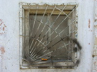 window