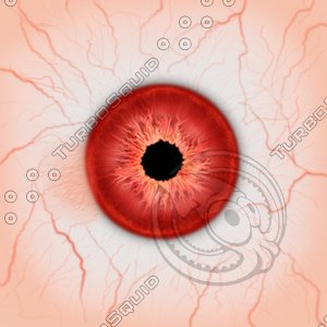 Eye Textures