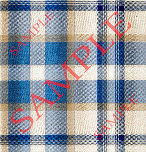 HD41