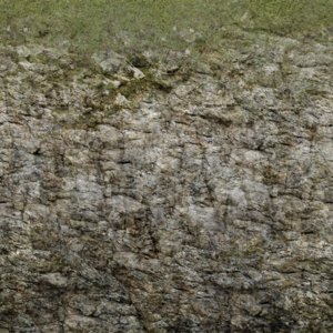 mossy mountain texture