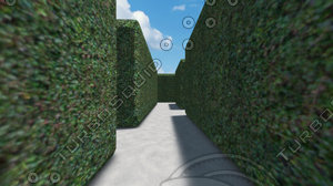 Hedge Maze Journey
