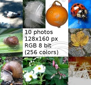 natur in 10 stock photo
