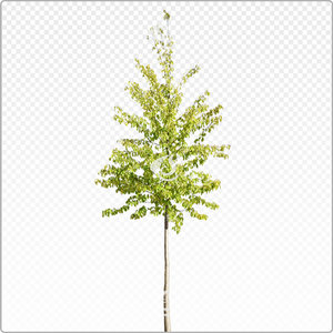 pruavi_y_011_sum