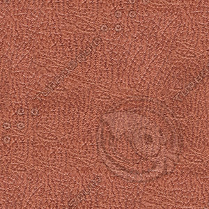 shark leather
