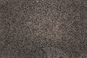 tex_floor01