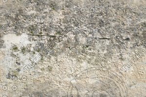 tex_wall_o1