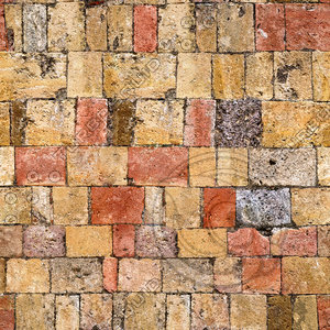 Medieval Brick Path