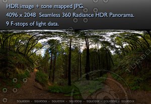 RED WOOD FOREST 360 HDR PANORAMA # 155