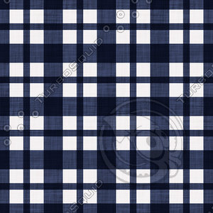 Coordinated Cottons - White on Navy Plaid
