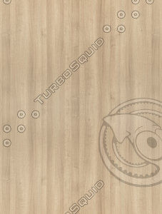 oak_wood_texture