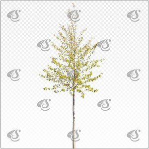 pruavi_y_011_spr