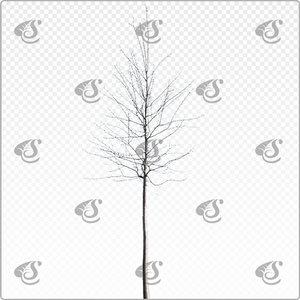 pruavi_y_011_win