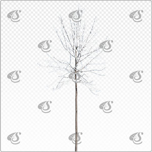 pruavi_y_021_win