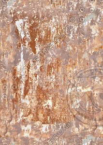 tex_rust01