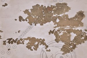tex_rust02