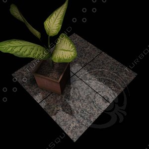 Granite_229 Violetta