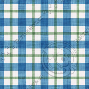 Coordinated Cottons - Green on Blue Plaid