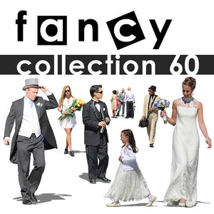 Fancy collection