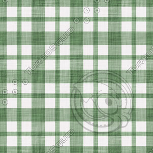 Coordinated Cottons - White on Green Plaid