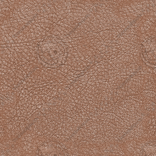 Leather Grain Texture