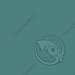 Fun with Florals - Teal Solid