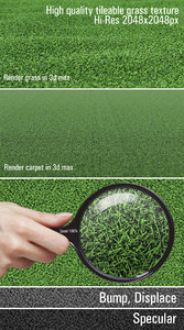 Grass texture seamless