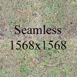 New Grass Pattern