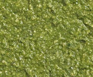 pesto sauce seamless