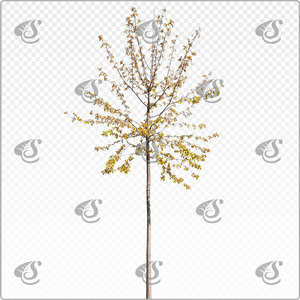 pruavi_y_021_spr