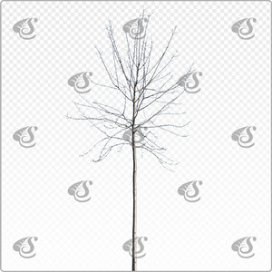 pruavi_y_022_win